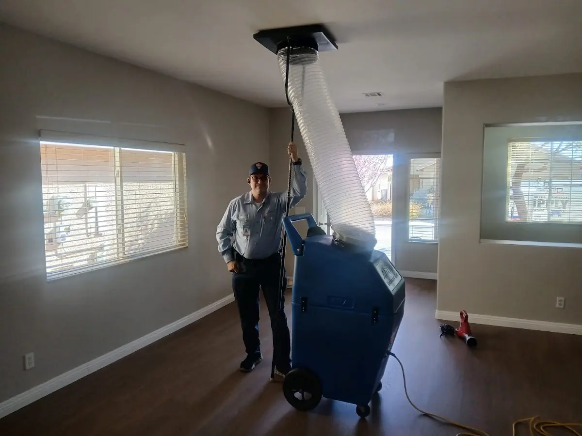 Professional Dryer Vent Cleaning work inside a Spring Hill home